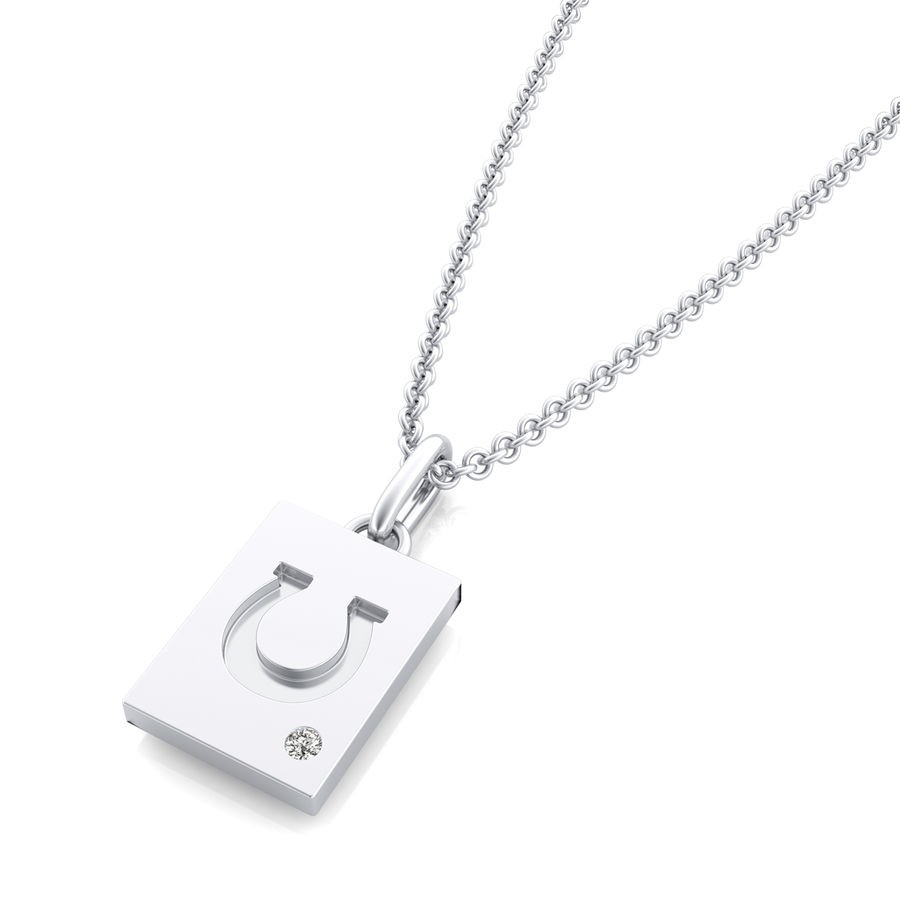 Horseshoe Pendant